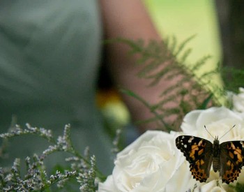 All Occasions Photography