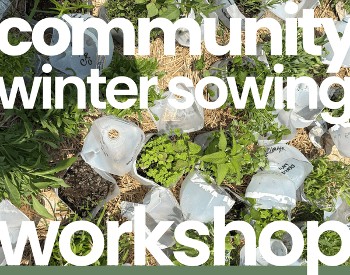 Sowing Workshop