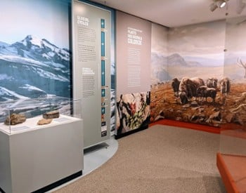 New York State Museum