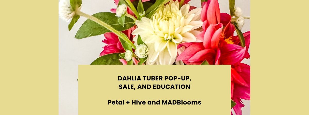 A bunch of flowers with the words Dahlia Tuber Pop-Up, Sale, and Education