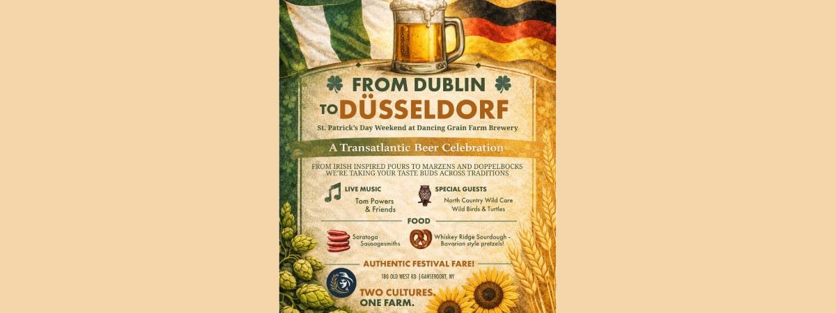 from dublin to dusseldorf