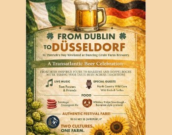 from dublin to dusseldorf