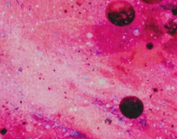 Image of the cosmos, pink and black starbursts