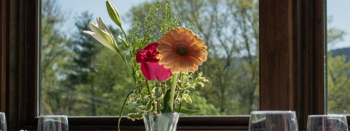 flowers by window