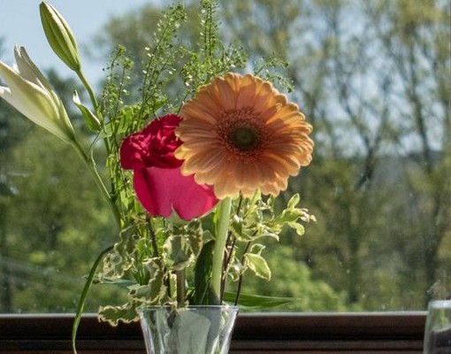 flowers by window