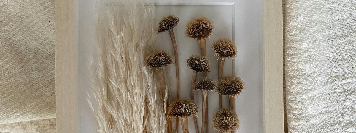 Dried flowers and grasses in a white frame with a white background