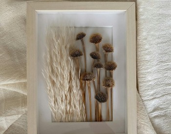 Dried flowers and grasses in a white frame with a white background