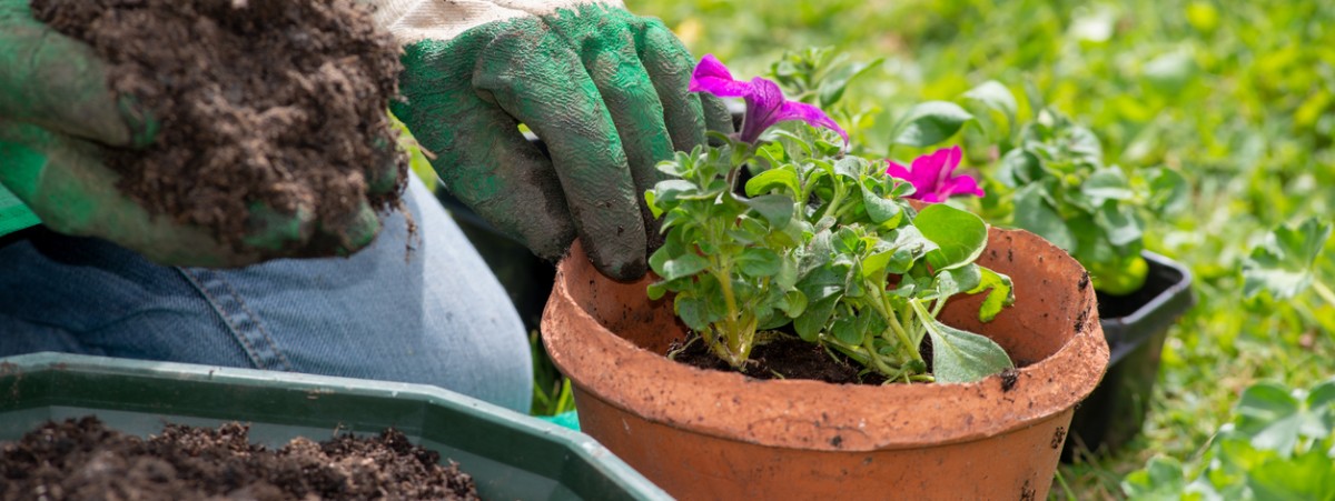 Gather & Grow iStock