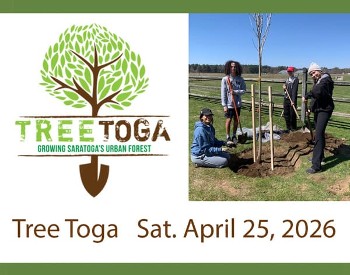 Tree Toga