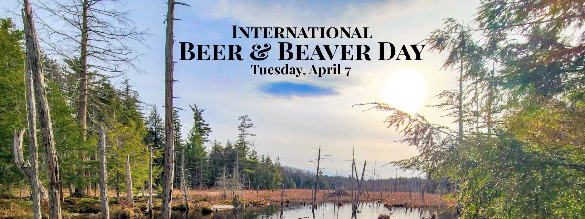International Beaver and Beer Day at Artisanal Brew Works