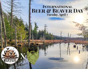 International Beaver and Beer Day at Artisanal Brew Works