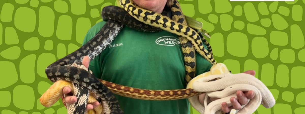 Uncharted Wild Animal Show