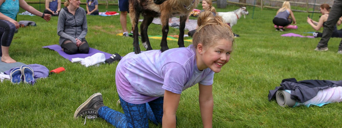 Goat Yoga In The Woods NY