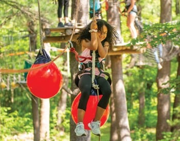 aerial adventure course