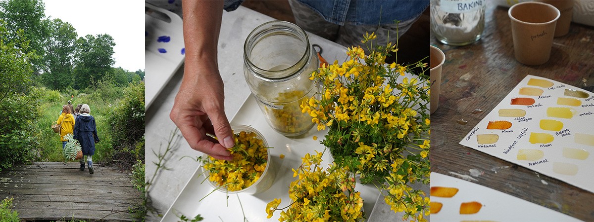 Process of creating natural pigment inks from seasonal botanicals