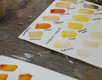 Process of creating natural pigment inks from seasonal botanicals