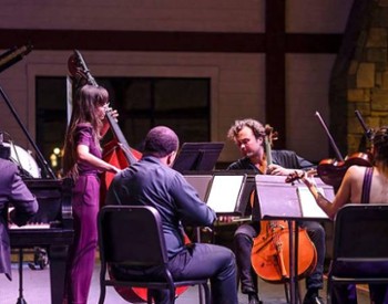 musicians on stage