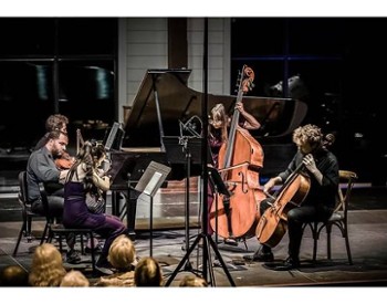 musicians on stage