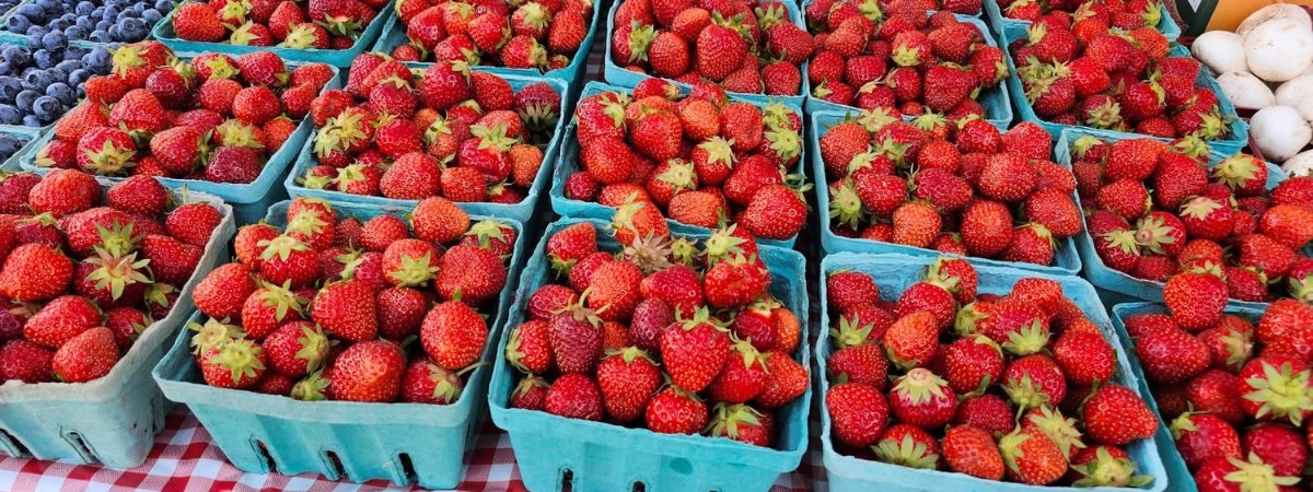Ripe berries displayed on a table