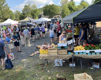 A crowd of people buying vegetables