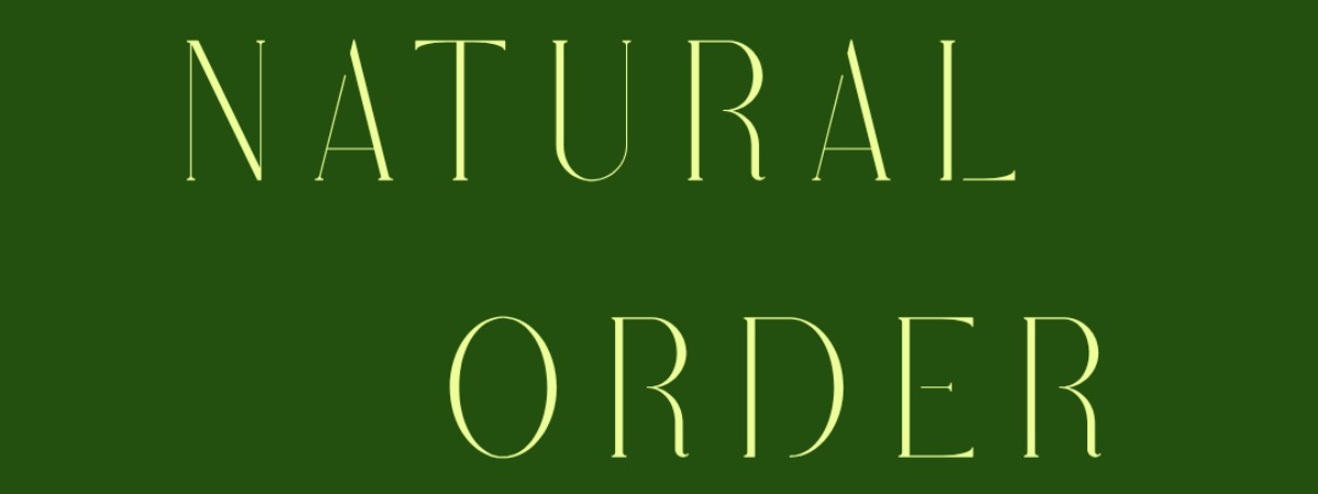 Natural Order Opening Art Reception