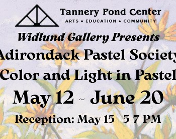 Adirondack Pastel Society Exhibit