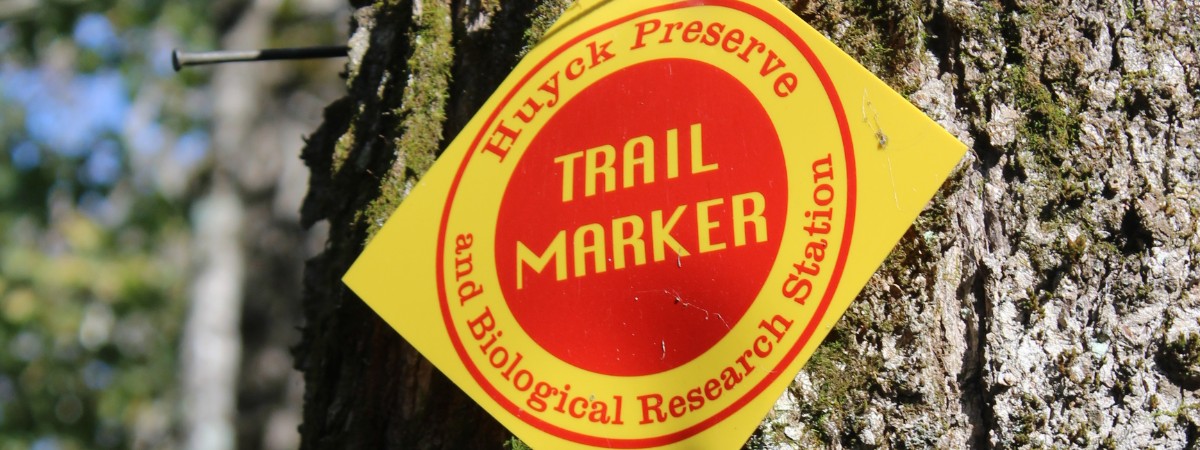 marker