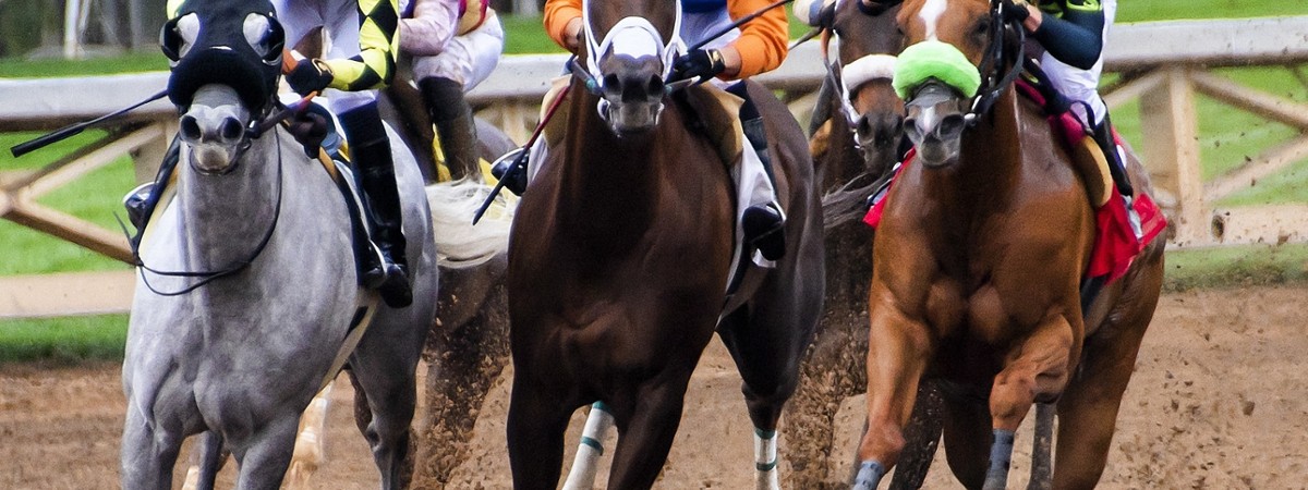 horses racing