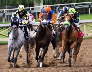 horses racing
