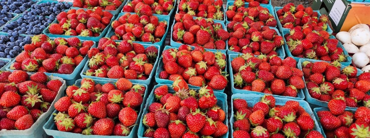 Fresh berries on display