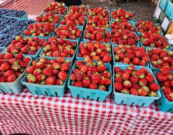 Fresh berries on display