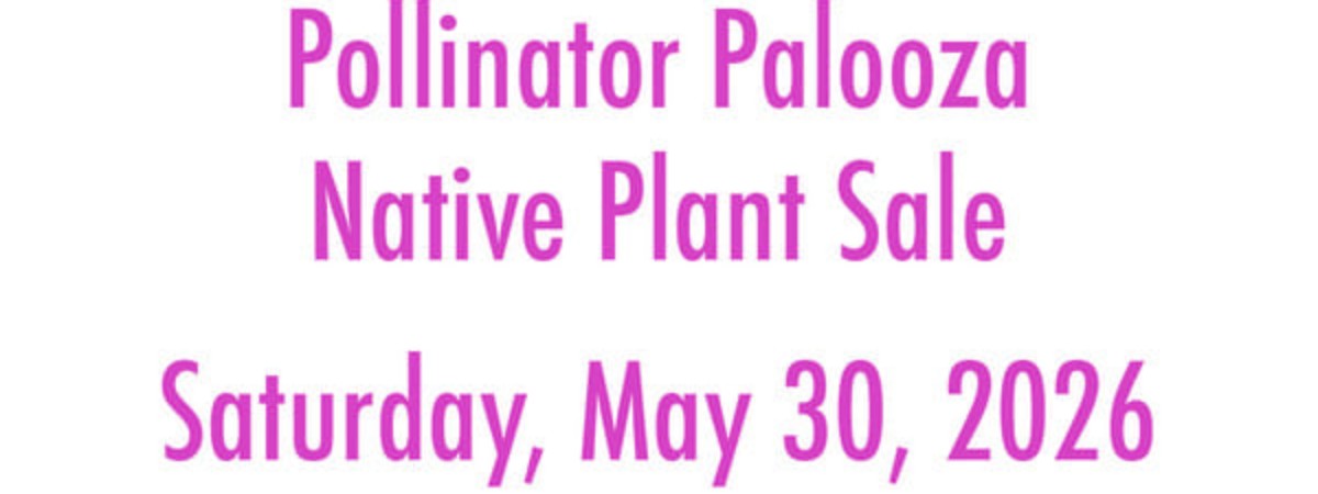Pollinator Palooza
