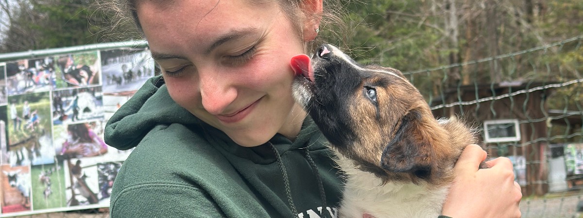 Border collie puppy brings joy during yoga at Into The Woods Farm in Saratoga County.