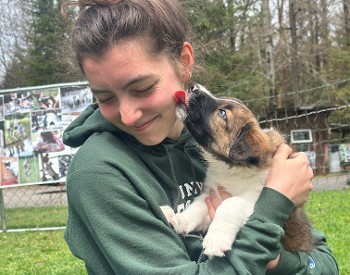 Border collie puppy brings joy during yoga at Into The Woods Farm in Saratoga County.