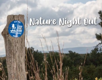 nature night out image