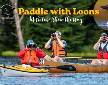 Loon paddle flyer