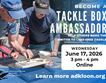 Tackle box ambassador flyer