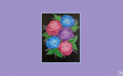 hydrangeas