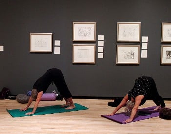 Yoga at The Hyde Collection