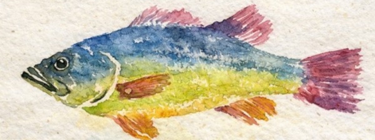 Fish painting