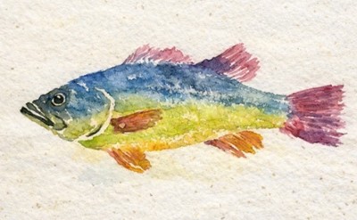 Fish painting