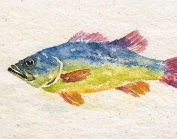 Fish painting