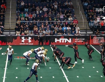 Albany Firebirds arena football on the field at line of scrimmage.