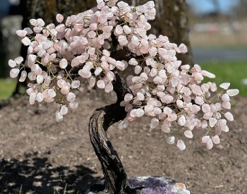 Rose Quartz Gemstone Tree