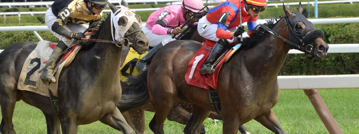 horses racing on a dirt track