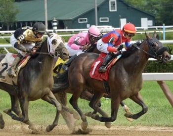 horses racing on a dirt track