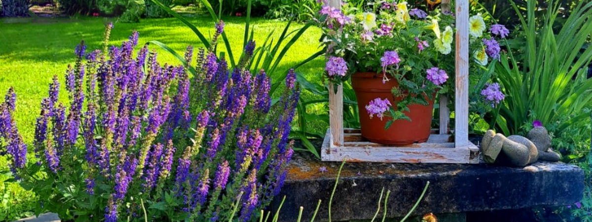 green lawn behind flowers in a garden