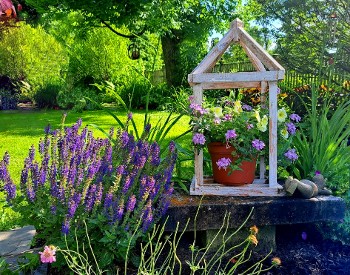 green lawn behind flowers in a garden