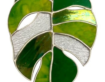 Monstera Leaf