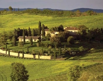 Summer in Tuscany